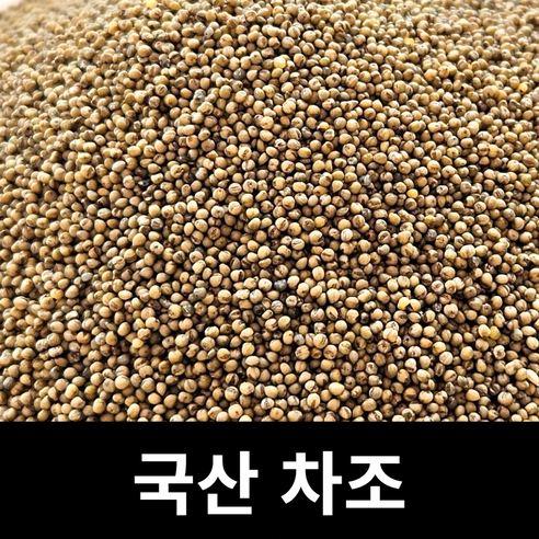 아람뜰 신선 개별포장 국산 고품질 차조 100g - 조 | 쿠팡