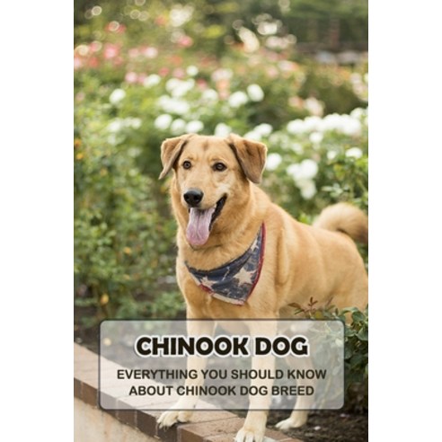 (영문도서) Chinook Dog: Everything You Should Know About Chinook Dog Breed: Things You Didn''t Know about... Paperback, Independently Published, English, 9798464706453