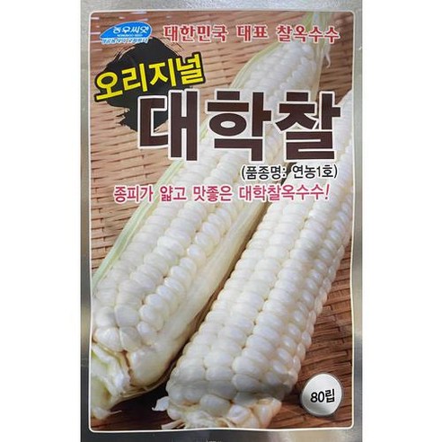 종피가 얇고 맛좋은 대학찰옥수수 오리지널 대학찰 옥수수 80립 대학옥수수 종피가 얇고 맛좋은 대학찰옥수수 오리지널 대학찰 옥수수 80립 대학옥수수