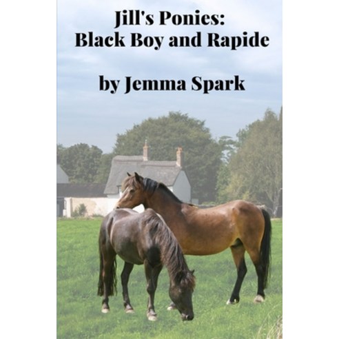 (영문도서) Jill''s Ponies: Black Boy and Rapide Paperback, Independently Published, English, 9798544353201