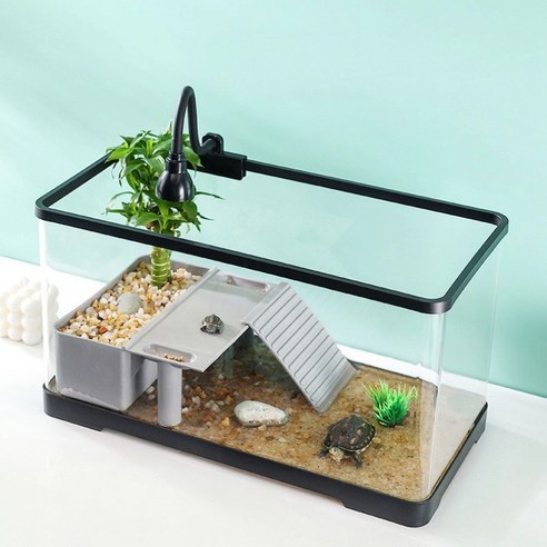 아크릴 어항으로 당신의 공간에 특별한 아름다움을 더하세요.