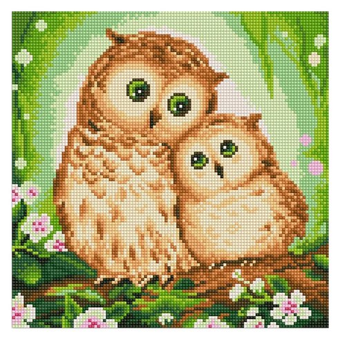 아이러브페인팅 DIY 보석십자수 캔버스형 러블리 30 x 30 cm, 꽃과 부엉이, 1개