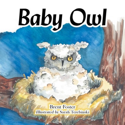 (영문도서) Baby Owl Paperback, Authorhouse, English, 9781665529914