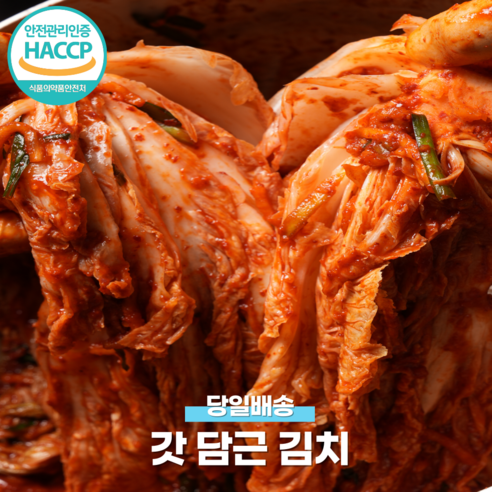 "엄마 김치" 그리운 자취생, "혼밥 퀄리티" 높이고픈 워킹맘 주목! 25년 장인의 손맛, 안동명가 포기김치 솔직 후기 안동명가김치