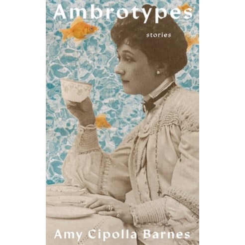 (영문도서) Ambrotypes Paperback, Word West LLC, English, 9780578529875