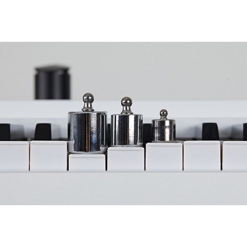 공간 제약 없이 즐기는 풍성한 사운드, 타미아노 TM-612s 스마트 피아노