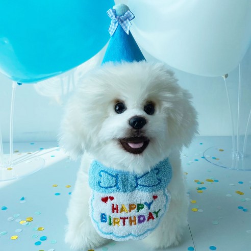 펫로디 강아지 고양이 생일 스카프+꼬깔 세트, 블루, 2세트