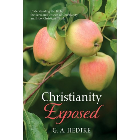 (영문도서) Christianity Exposed Paperback, Resource Publications (CA), English, 9781666766295