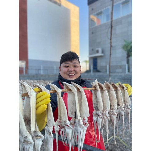 반건조오징어 피데기 포항 구룡포 해풍 건조 파품 원양산 10미, 1개, 피데기 소(800g)
