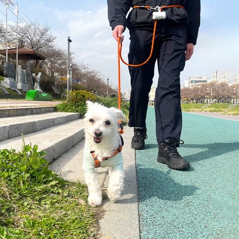 나마스펫 강아지리드줄 핸즈프리 베이직 로프 빛반사 2.8M, 오렌지, 1개