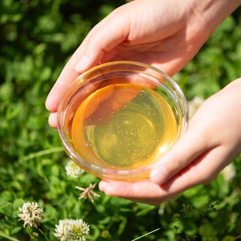 자연이 선사하는 달콤한 선물, 대한민국농수산 천연 아카시아 벌꿀