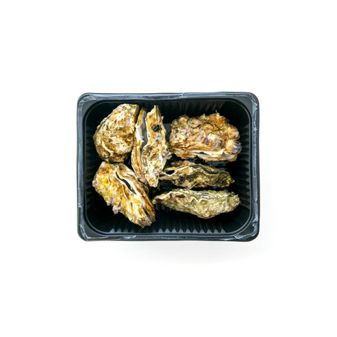 해양의 진미: 통영 삼배체굴의 맛과 신선함을 만끽하세요