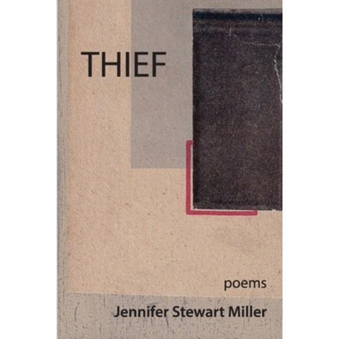 Thief: poems Paperback, Grayson Books, English, 9781733556866