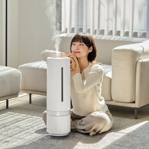 건조한 겨울, 촉촉하고 건강한 실내 환경을 위한 최고의 선택