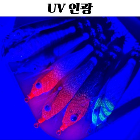 낚시의 새로운 즐거움을 선사하는 K3F 짱-II