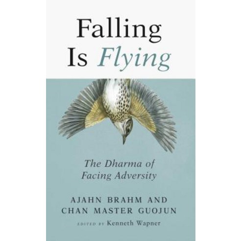 Falling Is Flying The Dharma of Facing Adversity, Wisdom Publications