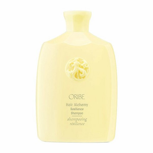 [오리베] 헤어 알케미 리질리언스 샴푸 250ml, 250ml, 1개