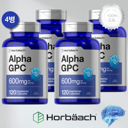 4병 호바흐 알파 지피씨 콜린알포세레이트 600mg 120캡슐 아세틸콜린 알포세틴 직구