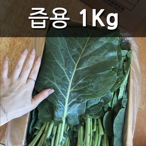 친환경 유기농 무농약 케일 (즙용/쌈용), 즙용1kg, 1개