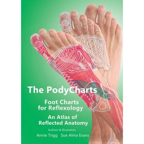 (영문도서) The PodyCharts Foot Charts for Reflexology: An atlas of reflected anatomy Paperback, Choir Press, English, 9781789632293