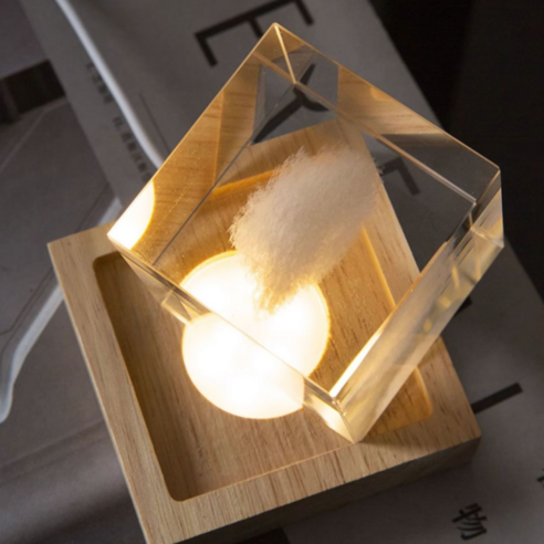 책을 아름답게 정리하는 스마트한 선택