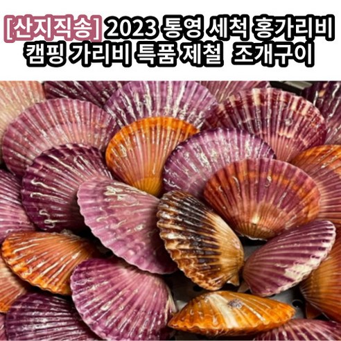 [산지직송] 2023 통영 세척 홍가리비 캠핑 가리비 특품 당일조업 제철 홍 가리비 비단 찜 조개구이 국내산 고품질 조개찜 싱싱한 통영가리비 담백한가리비, 1박스, 3kg