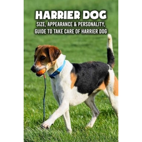 (영문도서) Harrier Dog: Size Appearance & Personality Guide To Take Care of Harrier Dog: Harrier Dog E... Paperback, Independently Published, English, 9798464695955