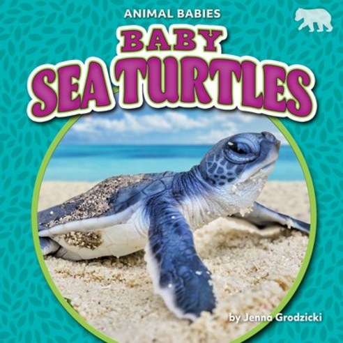 (영문도서) Baby Sea Turtles Library Binding, Bearcub Books, English, 9781636913582