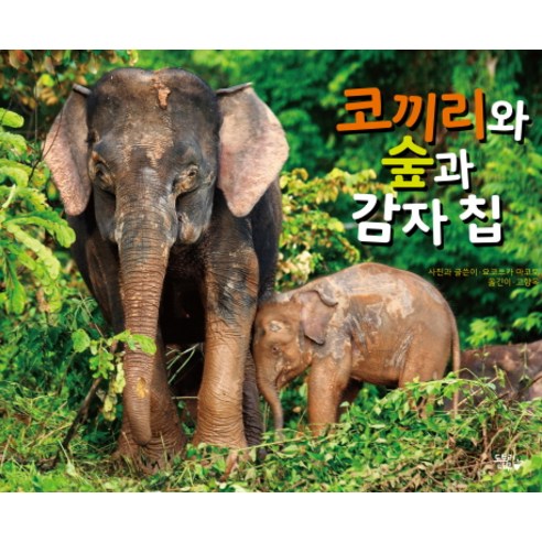 코끼리와 숲과 감자 칩, 도토리나무