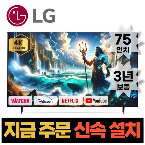 LG전자 75인치(190Cm) 8K UHD 스마트 TV 75NANO99, E.지방벽걸이설치