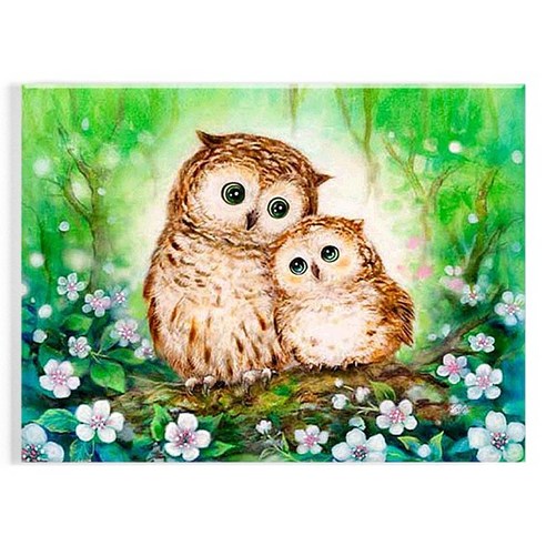 오로라데코덴 캔버스형 보석십자수 30x40cm, MK023 아기 부엉이