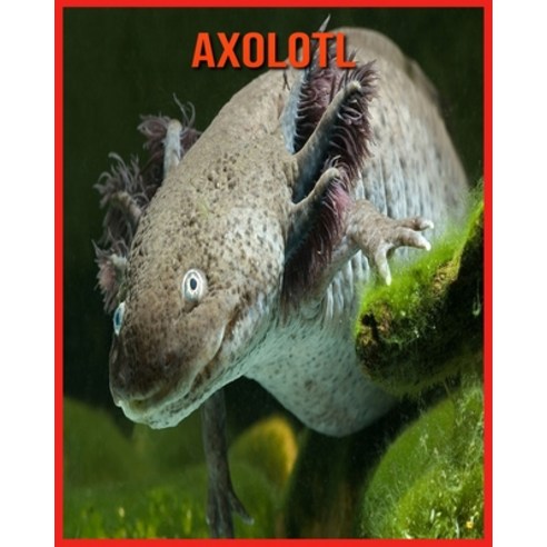 Axolotl: Amazing Pictures & Fun Facts on Animals in Nature Paperback, Independently Published, English, 9798707339127