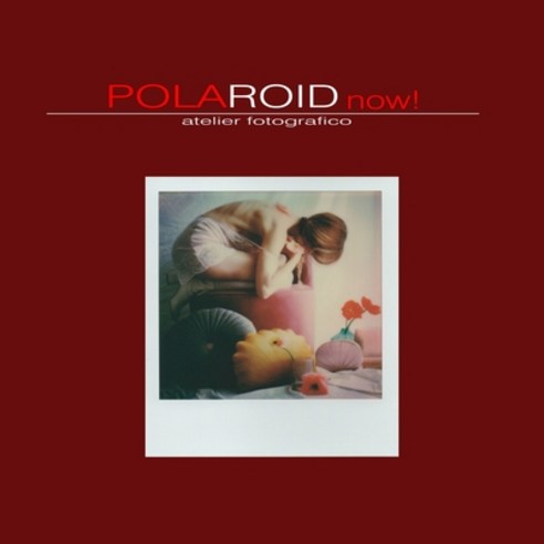 Polaroid Now!: International Polaroid exhibition held in Genoa (IT) - 5-12 september 2020. 28 instan... Paperback, Independently Published