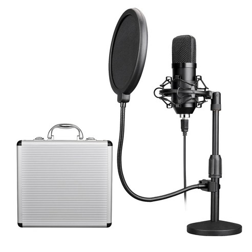 AFBEST BM700 콘덴서 마이크 휴대용 라이브 K 노래 컴퓨터 게임 소음 감소 녹음 192KHz USB 스탠드, 사진 색상