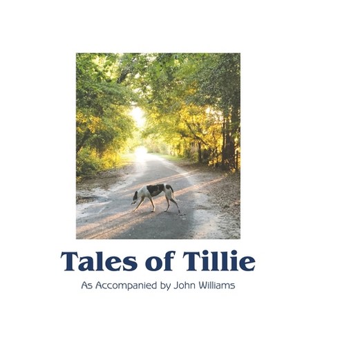 (영문도서) Tales of Tillie Hardcover, Anne Munson, English, 9781736817506