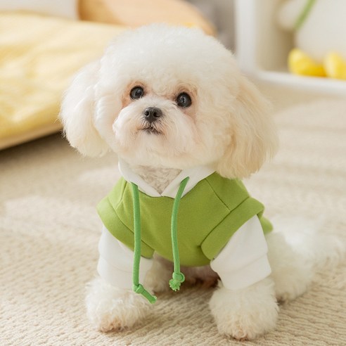 강아지 티셔츠 중소형 강아지 고양이옷 강아지조끼, 1개, 그린 화이트 햇