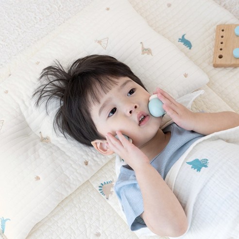 바미블랑 유아용 디노디노 아기 냉감 사계절 낮은 베개 듀라론 원단, 미블랑 유아용 디노디노 아기 냉감 낮은 베개 듀라론 원단