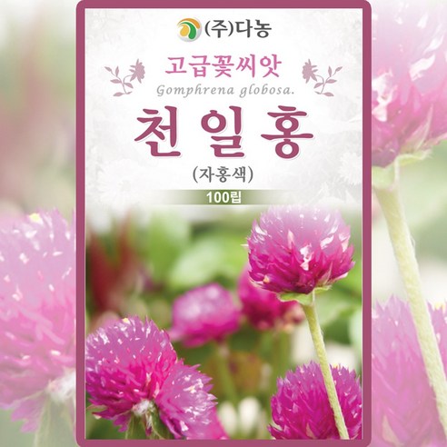 다농 천일홍 씨앗 100립 자홍색 천일홍 꽃씨 야생화 종자, 1개