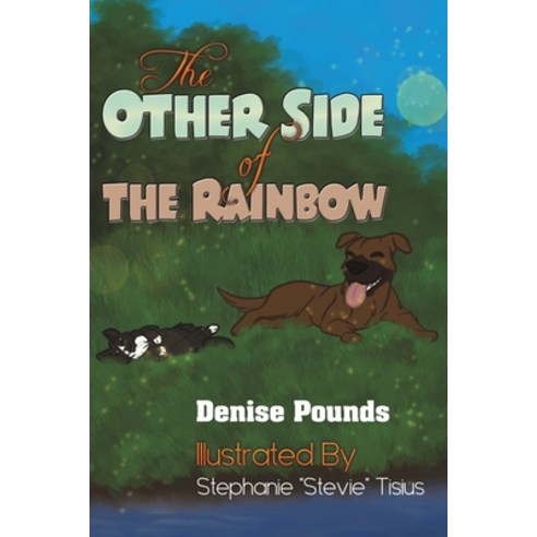 The Other Side of the Rainbow Paperback, Austin Macauley, English, 9781647502805