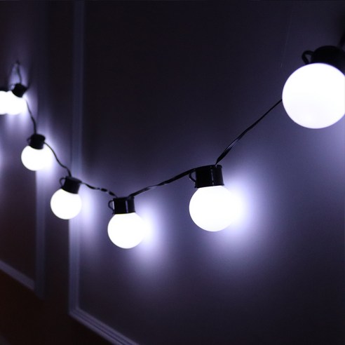 24V LED20P 파티볼 검정선전구 3color, 백색, 1개