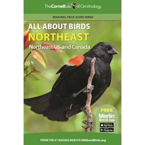 (영문도서) All about Birds Northeast: Northeast Us and Canada Paperback, Princeton University Press/..., English, 9780691990026