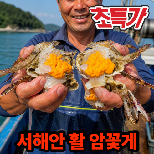 [초특가] 서해안 활 암꽃게 봄꽃게 알배기, 1박스, 1kg
