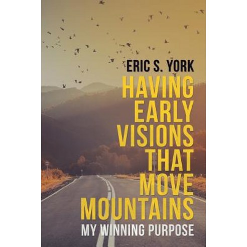 Having Early Visions That Move Mountains: My Winning Purpose Paperback, Liferich