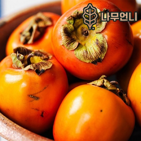 감나무 유실수 나무언니, 감나무 대봉시 R3~4cm 결실주, 1개