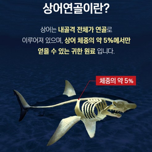 건강한 관절을 위한 콘드로이친 보충제