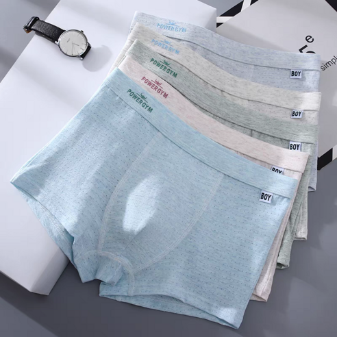 [재구매 1위] 성산홈 주니어 남학생 프리미엄 50수 순면 드로즈 팬티 5종세트