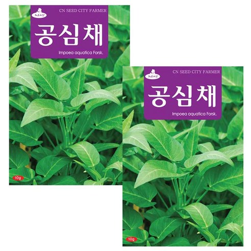 세인화분 공심채씨앗 10g 채소씨앗 공심채 씨앗 씨, 2개