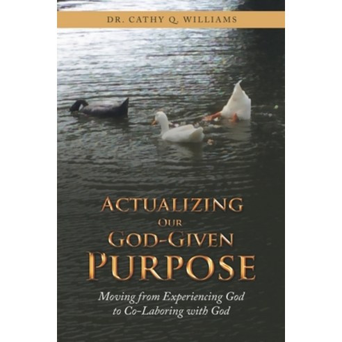 (영문도서) Actualizing Our God-Given Purpose: Moving from Experiencing God to Co-Laboring with God Paperback, WestBow Press, English, 9781664239876