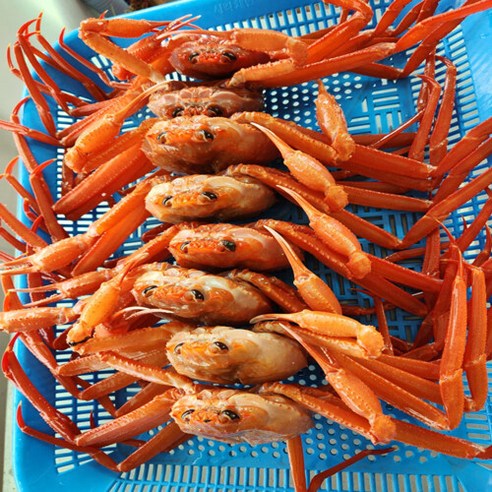 (푸드) 부드럽고 크리미한 국내산 자숙 박달 홍게 붉은대게 대게찜 4kg, 없음, 상세 설명 참조, 상세페이지 참조