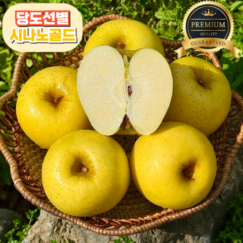 황금빛 유혹, 시나노골드 사과: 당신의 미각을 사로잡을 특별한 경험